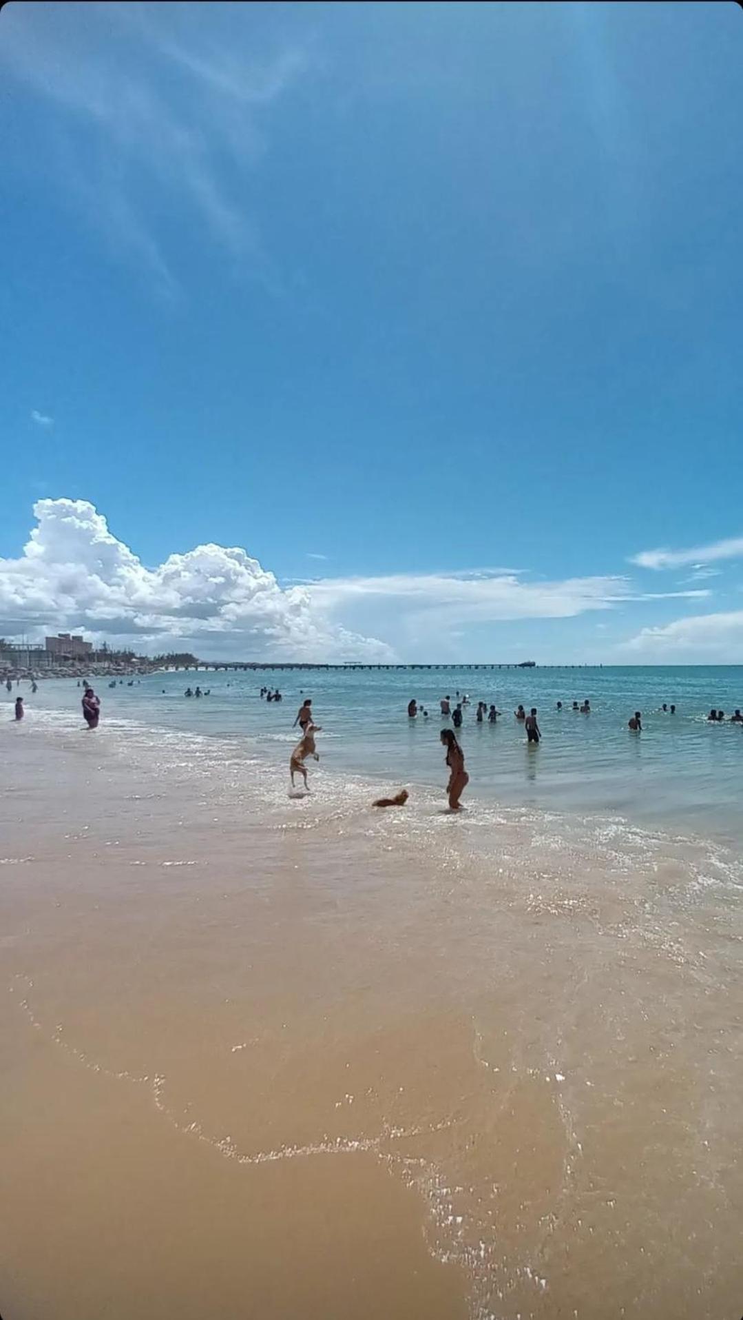 Jardim Iracema Appartement Fortaleza  Buitenkant foto