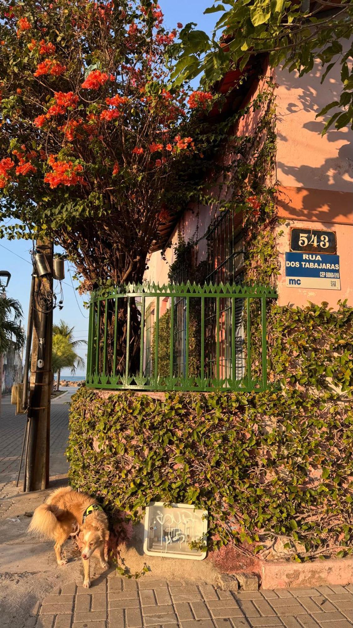 Jardim Iracema Appartement Fortaleza  Buitenkant foto